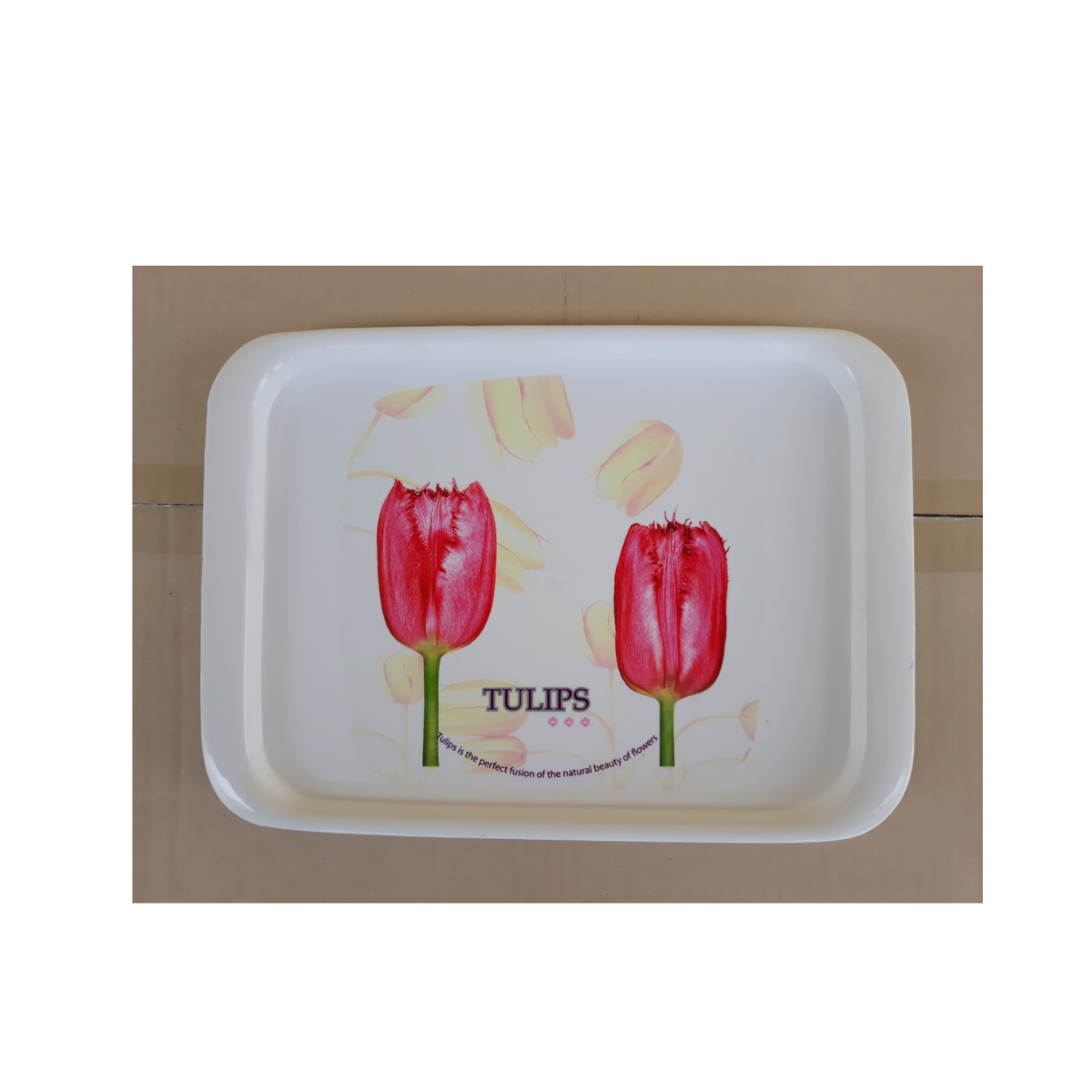 Khay đựng ly tách, trái cây hình chữ nhật (25,5 x 35cm), Mã số: TL5506/1