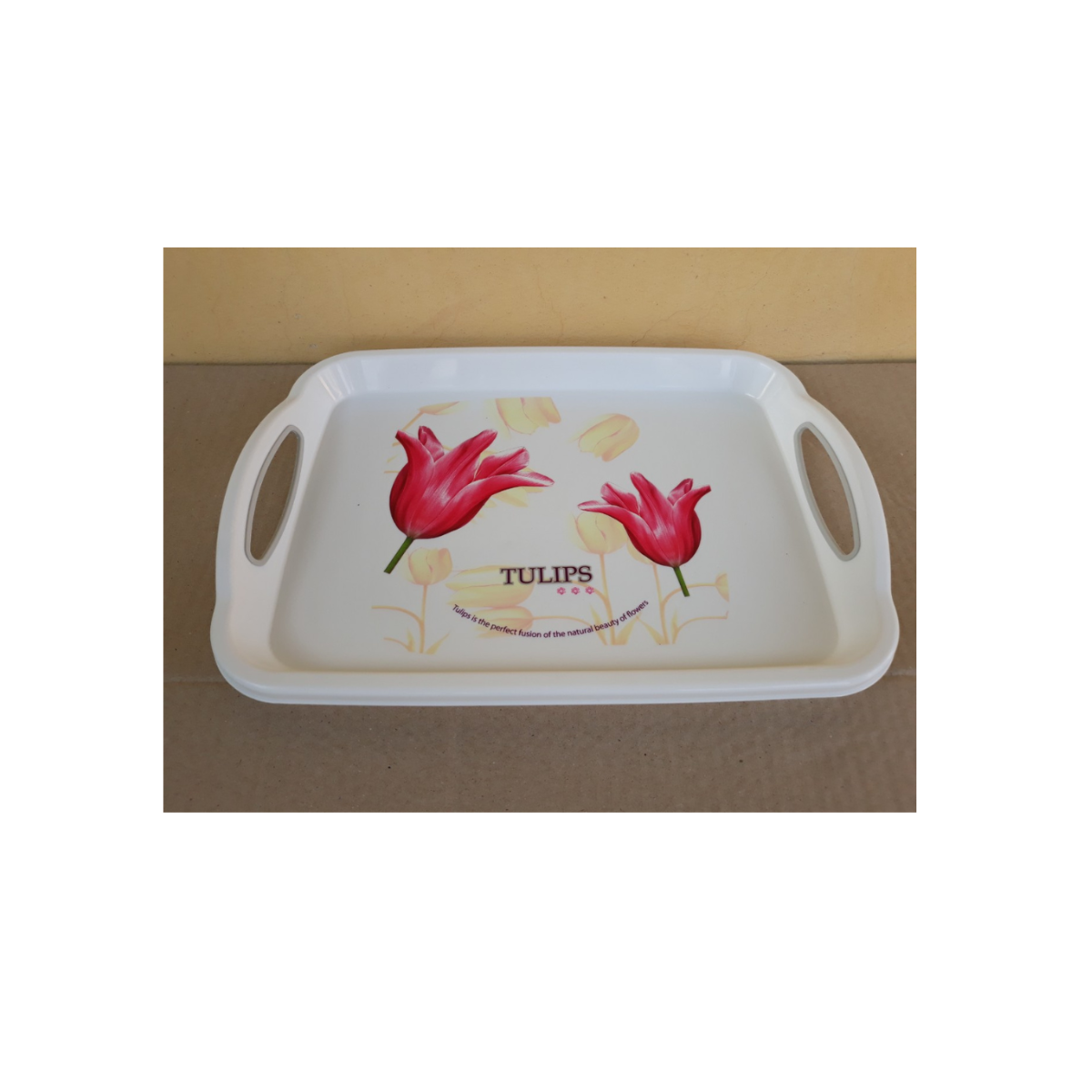 Khay đựng ly tách, trái cây hình chữ nhật có quai (27.5x38cm), Mã số: TL5321